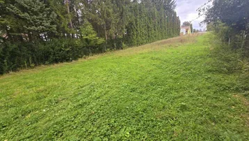 Grüne Wiese mit leichter Hanglage, umgeben von hohen Bäumen und Hecken.