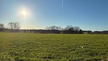 Weitläufige grüne Landschaft mit Bäumen am Horizont unter strahlend blauem Himmel.