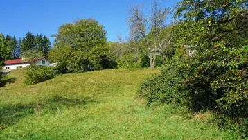 Grüne Hügellandschaft mit Bäumen und einem Haus im Hintergrund unter blauem Himmel.