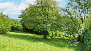 Sonniger, weitläufiger Garten mit grüner Rasenfläche, hohen Bäumen und üppigen Sträuchern.