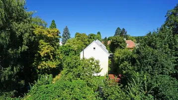 Grüne Aussicht auf ein freistehendes Haus, umgeben von dichtem Baumbestand unter blauem Himmel.