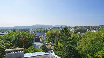 Weitläufiger Ausblick von einem Dach über grüne Baumwipfel und ferne Berge.