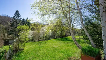 Sonniger Gartenbereich mit grüner Wiese, Bäumen und einem kleinen Schuppen im Hintergrund.