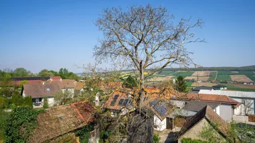 Panoramablick über die Dächer der Nachbarhäuser und die weite, grüne Landschaft.