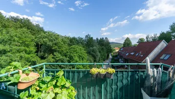 Balkon mit üppigem Grünblick auf den Wald und die darunterliegende Wohnstraße.