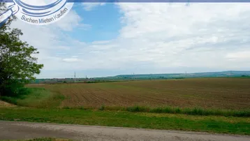 Weite Felder unter einem bewölkten Himmel, typisch für ländliche Gegenden.