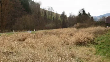 Blick auf ein unbebautes Grundstück mit trockenem Gras und bewaldetem Hügel im Hintergrund.