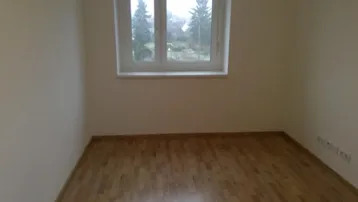 Heller, unmöblierter Raum mit Laminatboden und einem Fenster mit Blick ins Grüne.