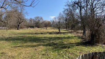 Weitläufige Grünfläche mit Bäumen und Wiese unter blauem Himmel, ideal für ländliche Ruhe.