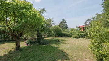 Großer, gepflegter Gartenbereich mit Rasenfläche und altem Baumbestand unter blauem Himmel.