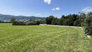Weitläufige grüne Landschaft mit einem Haus, Bäumen und einem See im Hintergrund unter blauem Himmel.