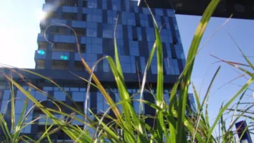 Modernes Gebäude mit Glasfassade und blauen Akzenten, gesehen durch hohes Gras.