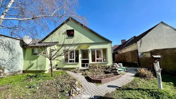 Grünes Einfamilienhaus mit Satteldach und gepflegtem Vorgarten unter blauem Himmel.