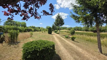 Weitläufiger Gartenbereich mit Wegen und Bäumen unter blauem Himmel und Sonnenschein.