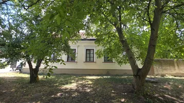 Traditionelle Hausfassade mit grünen Bäumen im Vordergrund und Fenstern.