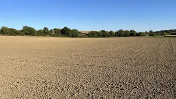 Weitläufige Ackerlandschaft unter blauem Himmel, die eine ruhige ländliche Umgebung zeigt.
