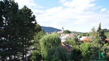 Panoramablick über eine grüne Landschaft mit einem Dorf, einer Kirche und Bergen im Hintergrund.