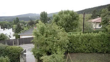 Blick auf eine grüne Wohngegend mit Bäumen, Hecken und einem entfernten Hügel unter bewölktem Himmel.