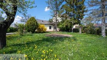 Großer Garten mit blühenden Wiesenblumen und einem Einfamilienhaus im Hintergrund unter blauem Himmel.