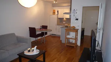 Helles Wohn- und Esszimmer mit integrierter Küchenzeile und Parkettboden.