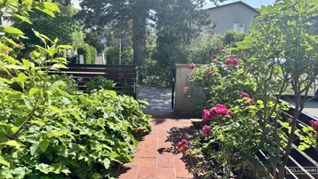 Grüner Eingangsbereich mit gepflastertem Weg, blühenden Rosen und üppiger Bepflanzung.