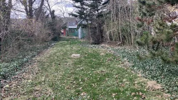 Großer, verwilderter Gartenbereich mit Bäumen und Sträuchern, der auf ein Gebäude zuführt.