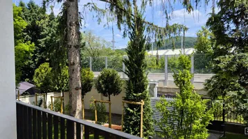Grüner Ausblick von einem Balkon mit Blick auf Bäume und eine dahinterliegende Straße.