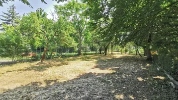 Großer Gartenbereich mit vielen Bäumen und einer Mischung aus grünem und trockenem Gras, ideal für Erholung.