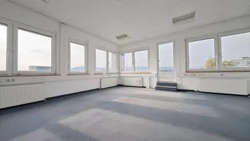 Geräumiges Büro mit vielen Fenstern, blauem Teppichboden und Zugang zu einer Außenterrasse.
