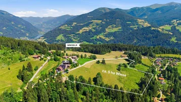 Luftaufnahme des Anwesens mit ca. 5 ha Wiese, umgeben von Wäldern und Bergen mit Seeblick.