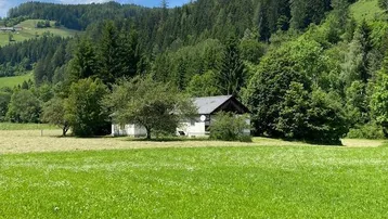 Kleines Haus in ländlicher Umgebung, umgeben von grünen Wiesen und einem dichten Wald im Hintergrund.