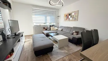 Helles Wohnzimmer mit modernem Sofa, Couchtisch und stilvoller Deckenleuchte.