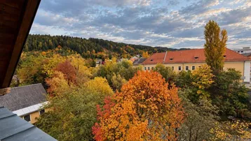 Herbstliche Landschaft mit bunten Bäumen und Gebäuden unter bewölktem Himmel, gesehen von einem Balkon.