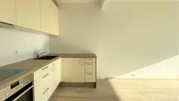 Moderne Einbauküche mit hellen Fronten, Holzarbeitsplatte und integrierten Geräten.