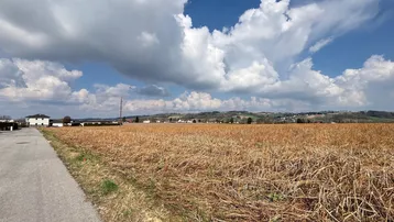 Weites Feld mit trockenem Gras neben einer asphaltierten Straße unter blauem Himmel mit Wolken.