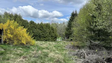 Naturbelassenes Grundstück mit Bäumen, Sträuchern und einer kleinen Hütte unter bewölktem Himmel.
