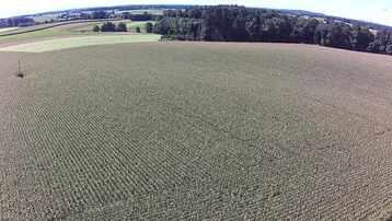 Luftaufnahme einer weiten Ackerlandschaft mit grünen Feldern und einem Waldstreifen am Horizont unter blauem Himmel.