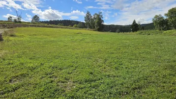 Weite grüne Wiese unter blauem Himmel mit Wolken und bewaldeten Hügeln im Hintergrund.
