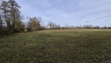 Weitläufiges offenes Feld mit Gras und Bäumen am Horizont unter bewölktem Himmel.