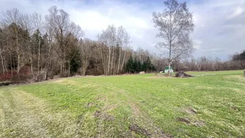 Weitläufige grüne Wiese mit Baumbestand im Hintergrund unter einem bewölkten Himmel.