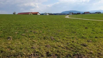 Weite grüne Felder mit einem gewundenen Weg, umgeben von ländlichen Häusern und Bergen im Hintergrund unter einem blauen Himmel.