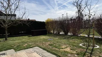 Gepflegte Rasenfläche im Garten mit Hecke, Bäumen und sonnigem Ausblick.