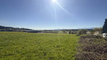 Sonnige Wiesenlandschaft mit blühenden Pflanzen, Blick auf entfernte Gebäude und eine Bergkette am Horizont.