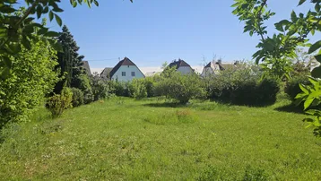 Großer Gartenbereich mit Rasenfläche und umgebender Vegetation, ideal für die Gestaltung.
