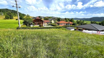 Weitläufige grüne Landschaft mit Wohnhäusern im Hintergrund unter einem bewölkten Himmel.