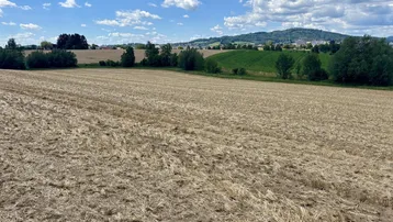 Abgeerntetes Feld unter blauem Himmel mit Wolken und grünen Hügeln im Hintergrund.