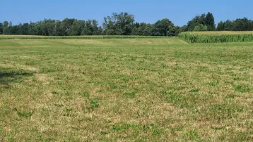 Weite grüne Wiesenlandschaft mit Bäumen und Feldern am Horizont unter klarem Himmel.