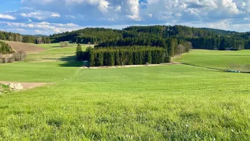 Weite grüne Hügellandschaft mit Feldern und Wäldern unter einem blauen Himmel mit Wolken.