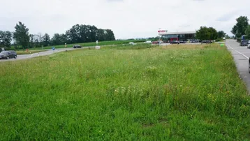 Großes grünes Grundstück an einer Straße mit einem Supermarkt und Bäumen im Hintergrund unter bewölktem Himmel.