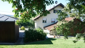 Gepflegter Gartenbereich mit Rasenfläche und altem Baumbestand vor einem Einfamilienhaus.